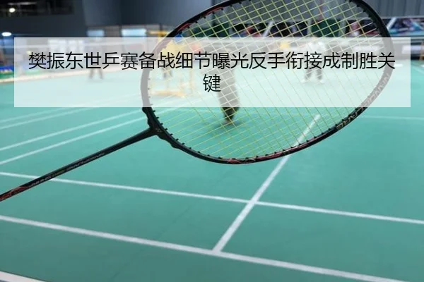 樊振东世乒赛备战细节曝光反手衔接成制胜关键