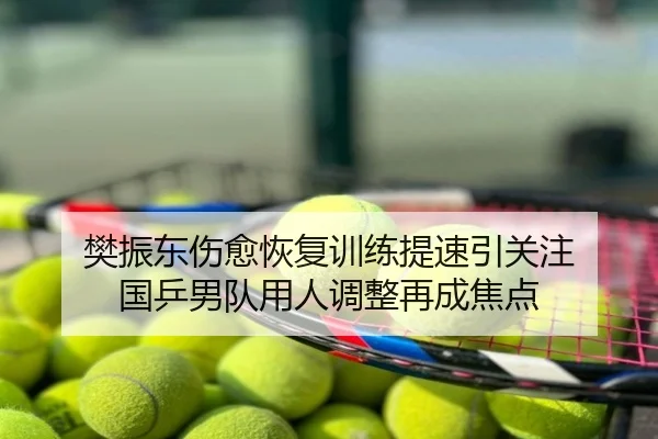 樊振东伤愈恢复训练提速引关注 国乒男队用人调整再成焦点