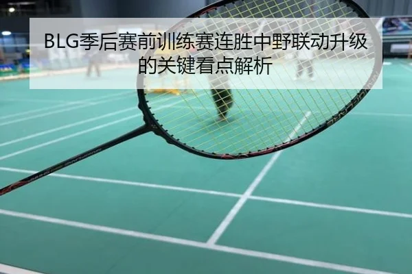 BLG季后赛前训练赛连胜中野联动升级的关键看点解析