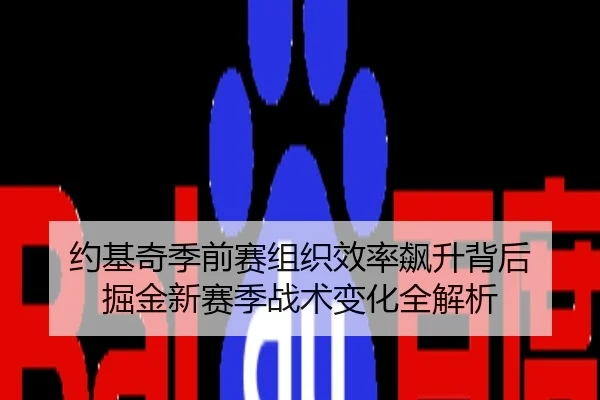 约基奇季前赛组织效率飙升背后 掘金新赛季战术变化全解析
