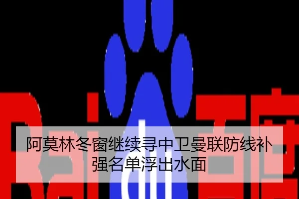 阿莫林冬窗继续寻中卫曼联防线补强名单浮出水面